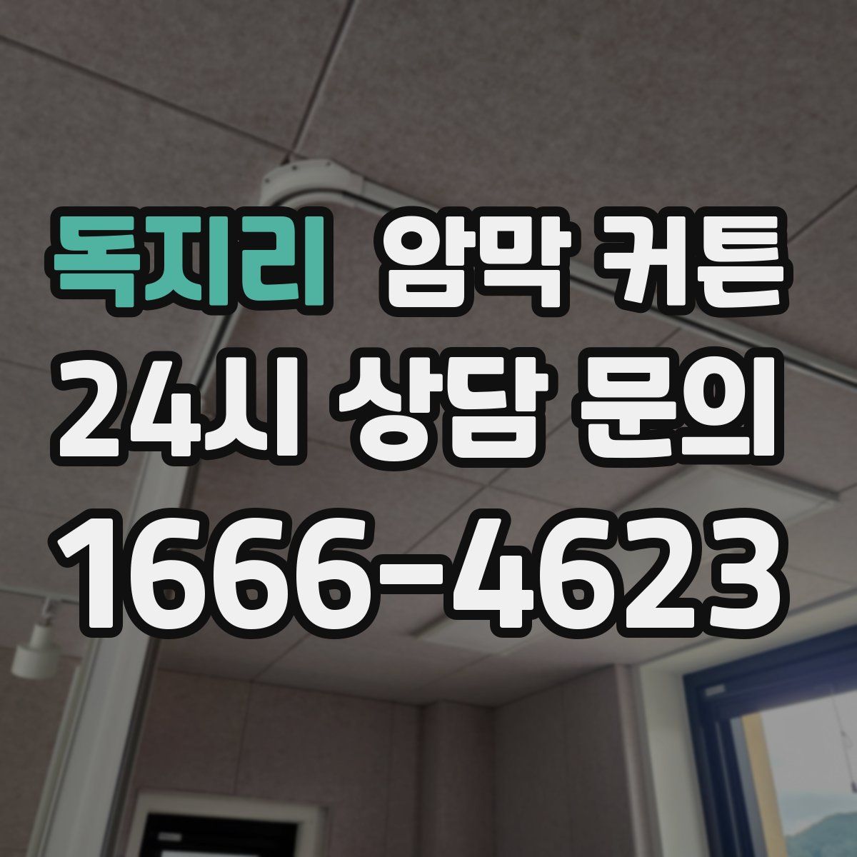 독지리 암막 커튼