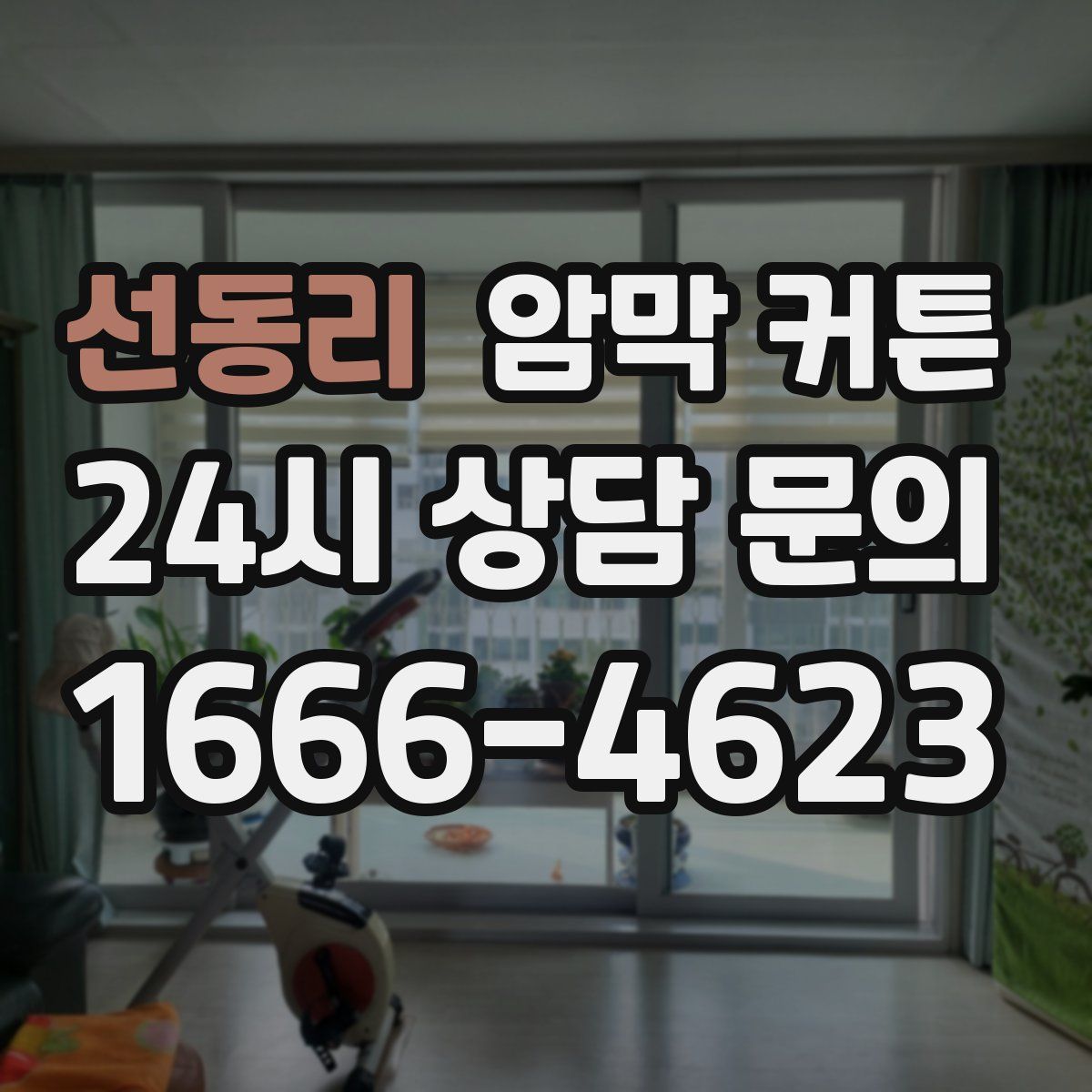 선동리 암막 커튼