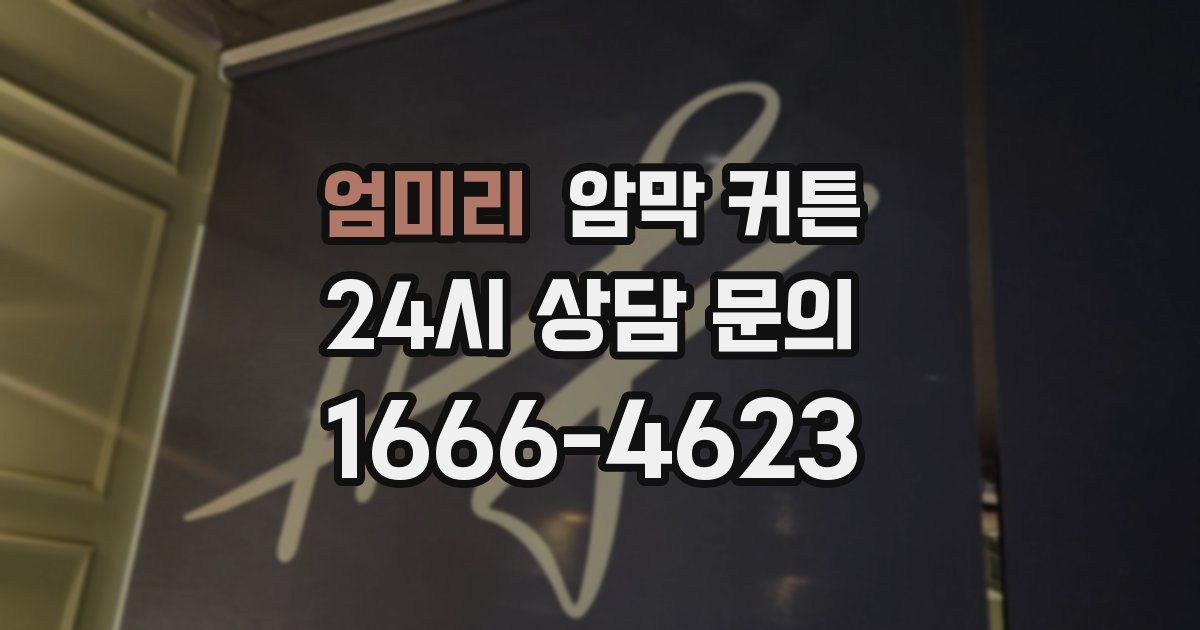 엄미리 암막 커튼