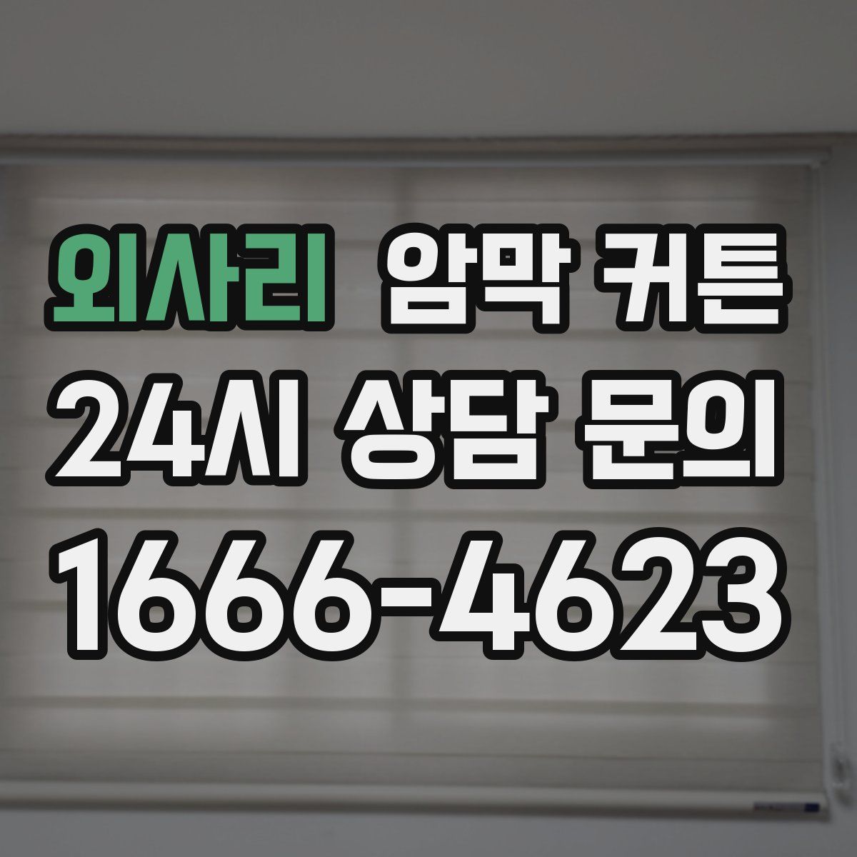외사리 암막 커튼