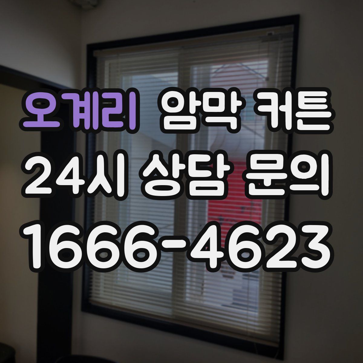 오계리 암막 커튼