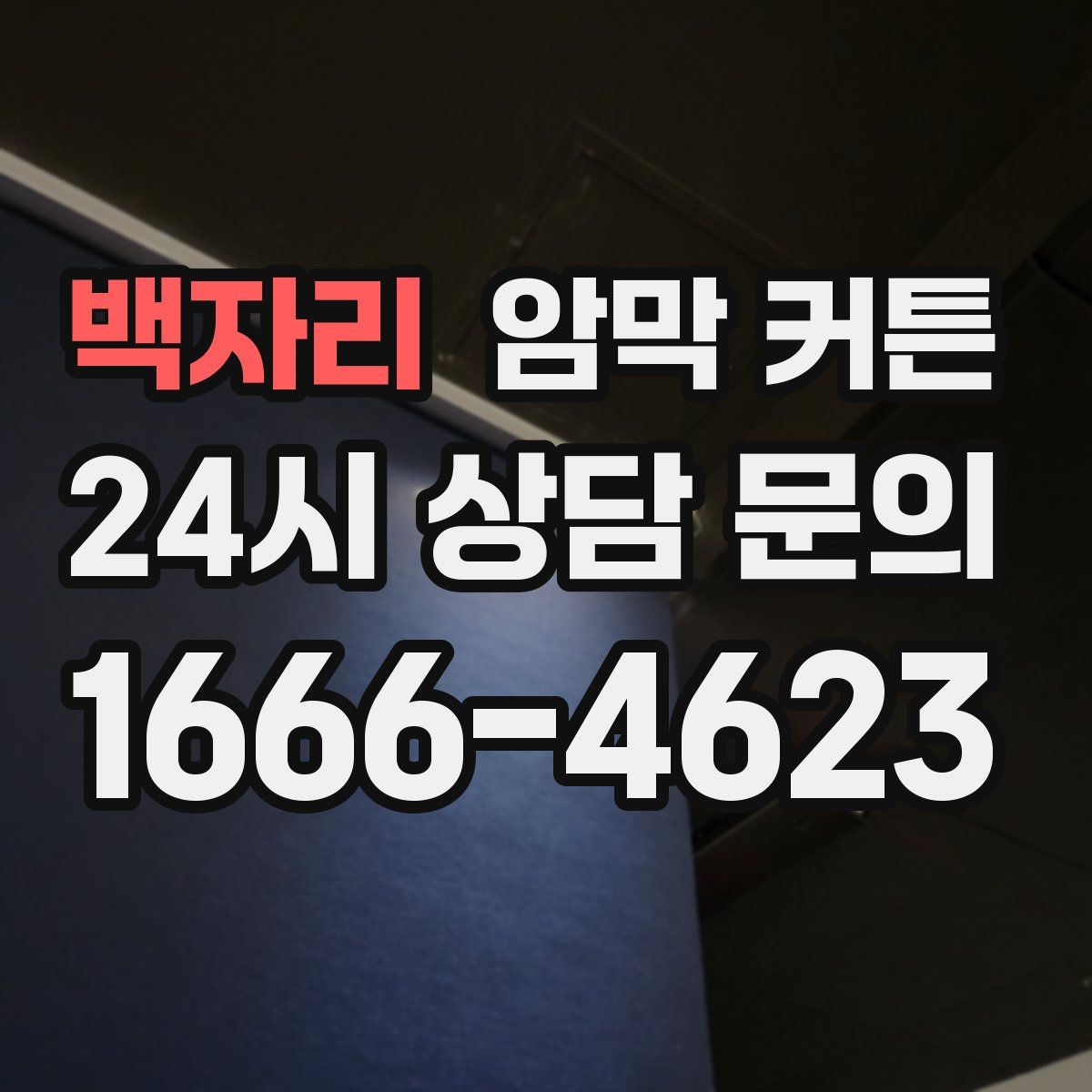 백자리 암막 커튼