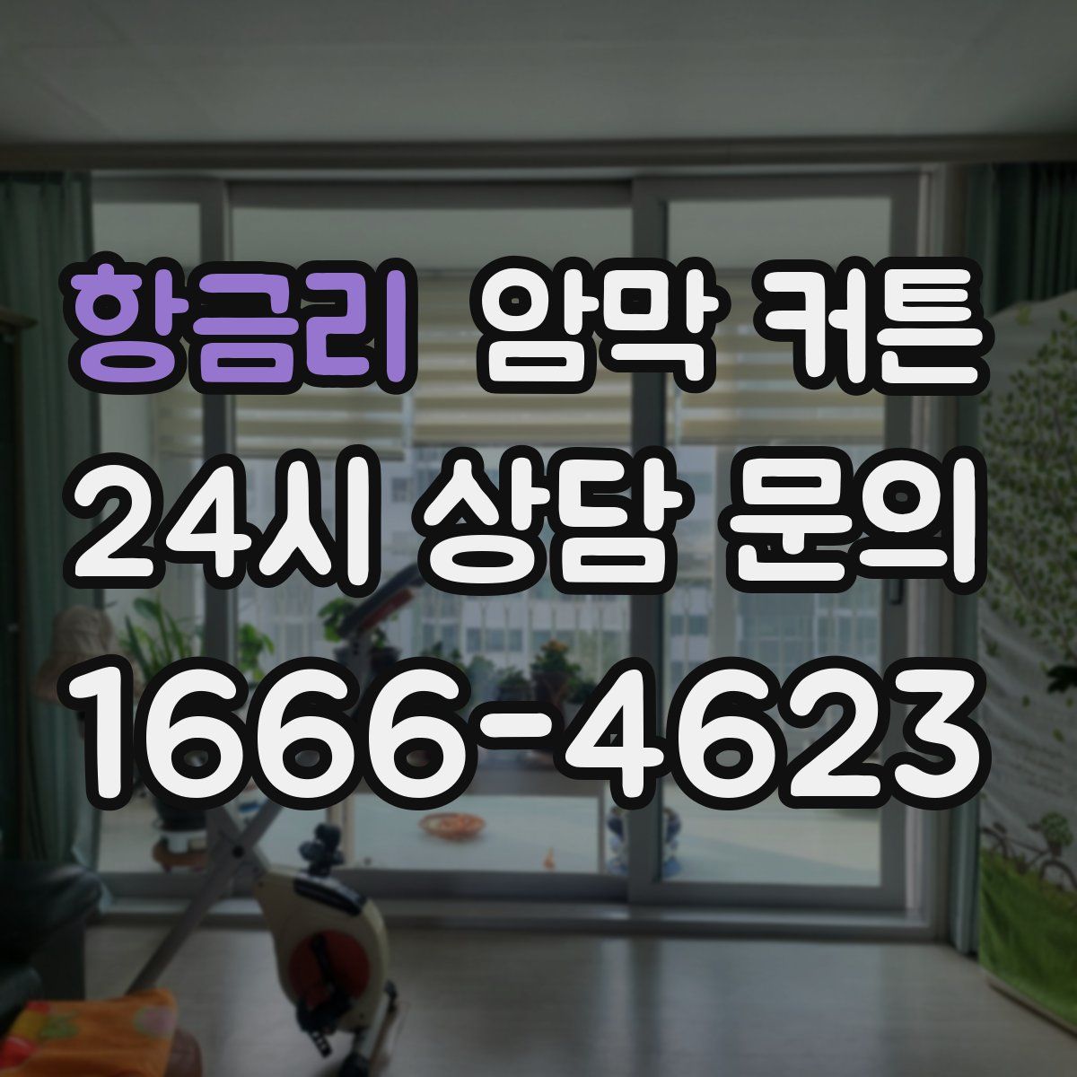 항금리 암막 커튼