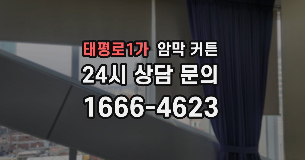 태평로1가 암막 커튼