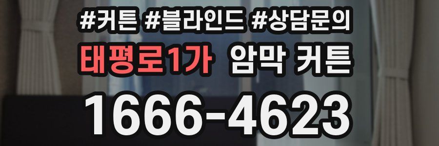 태평로1가 암막 커튼