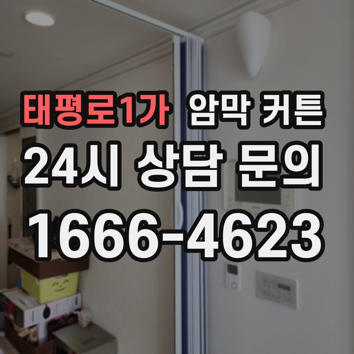 태평로1가 암막 커튼