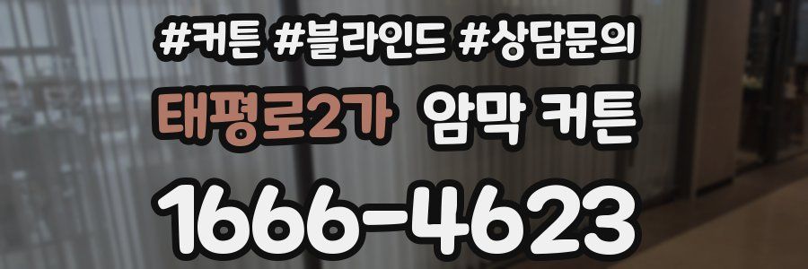 태평로2가 암막 커튼