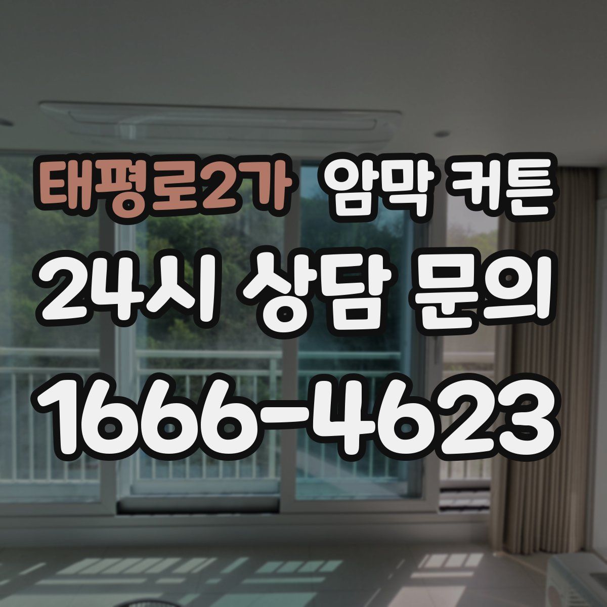태평로2가 암막 커튼