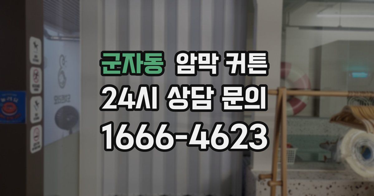 군자동 암막 커튼