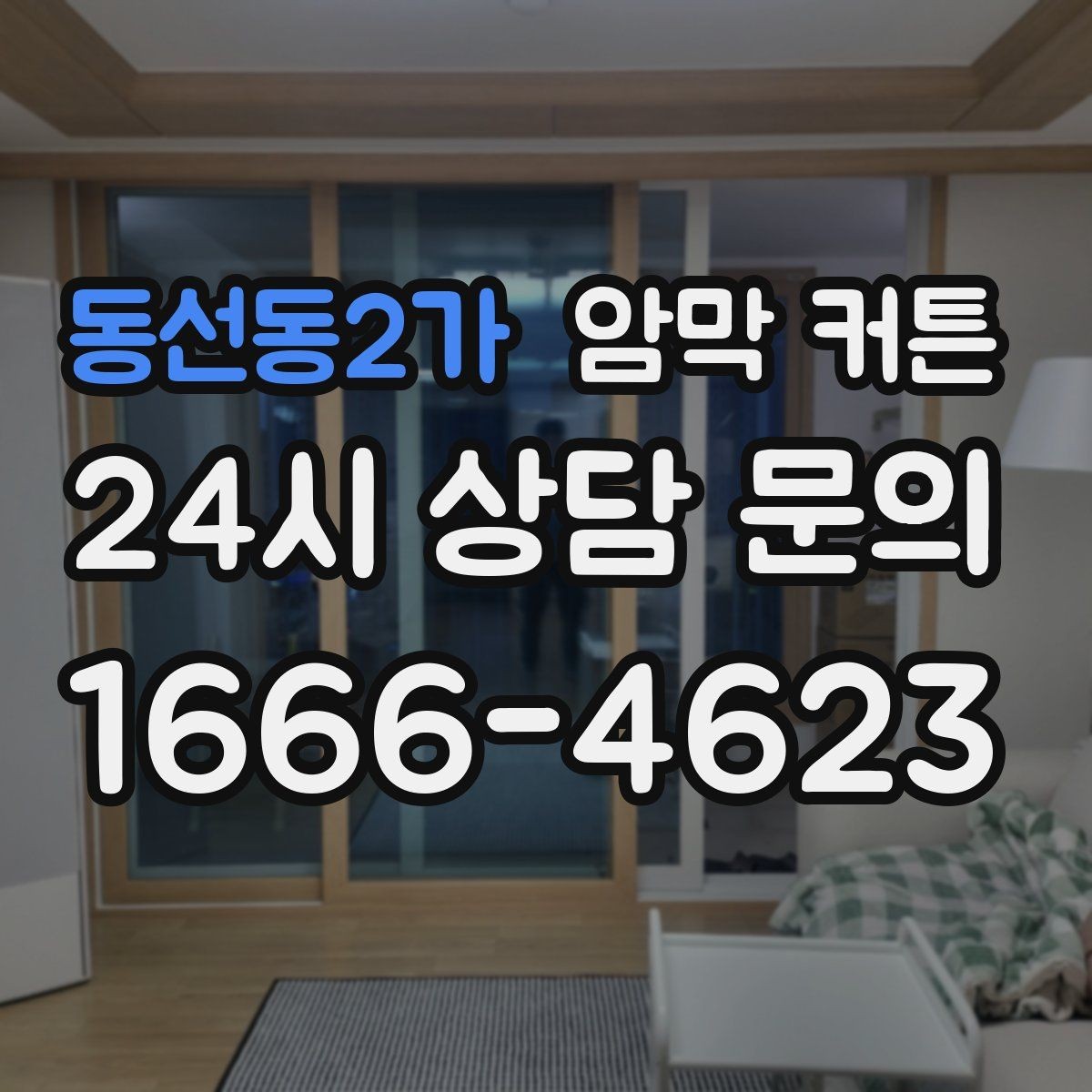 동선동2가 암막 커튼 사계절 사용 시 장단점