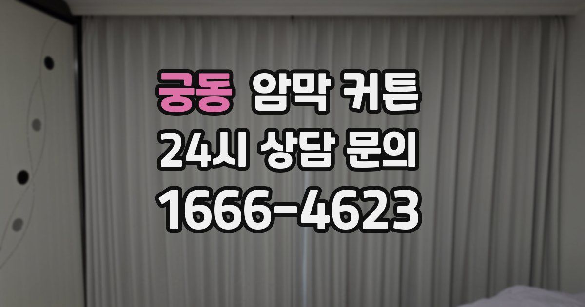 궁동 암막 커튼