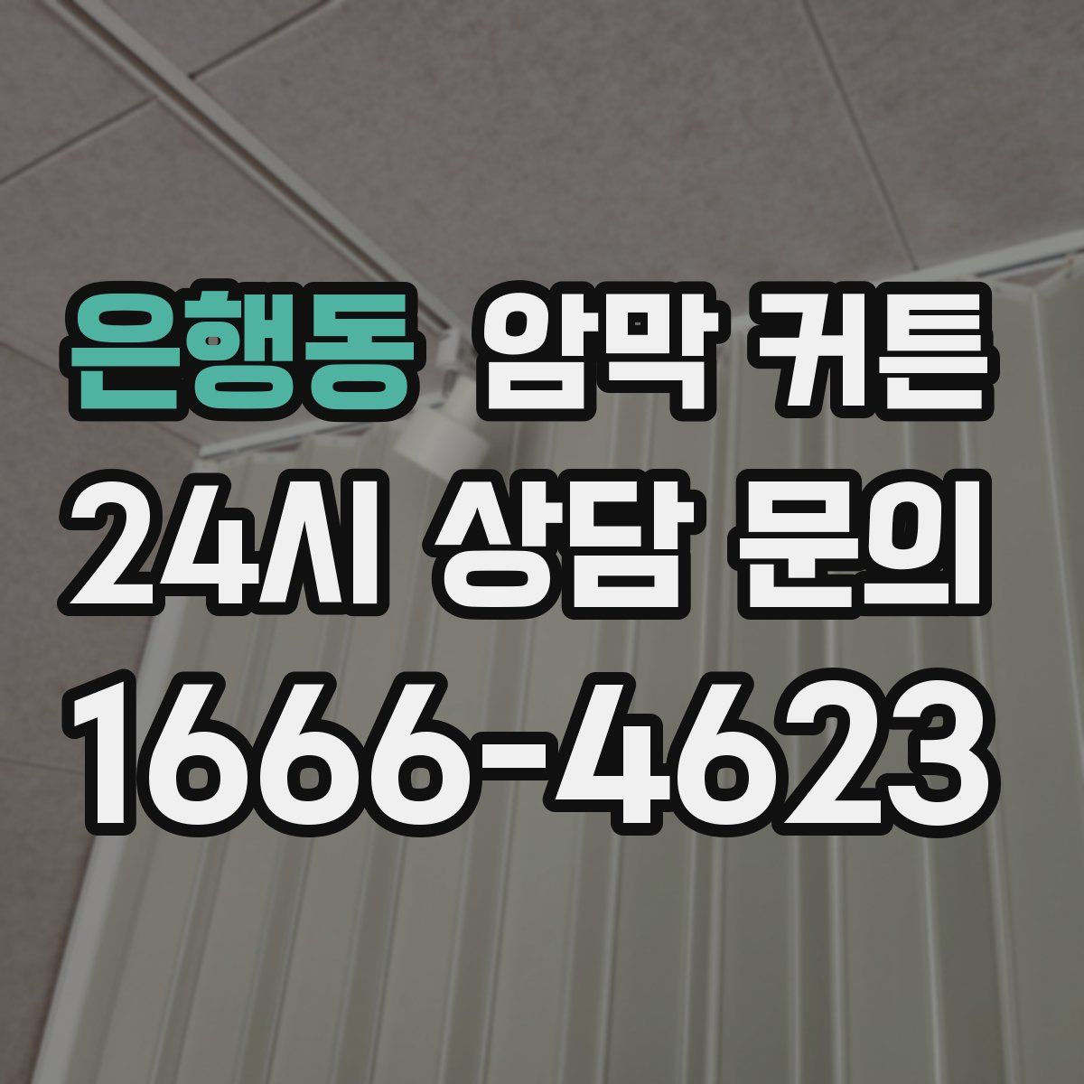 은행동 암막 커튼
