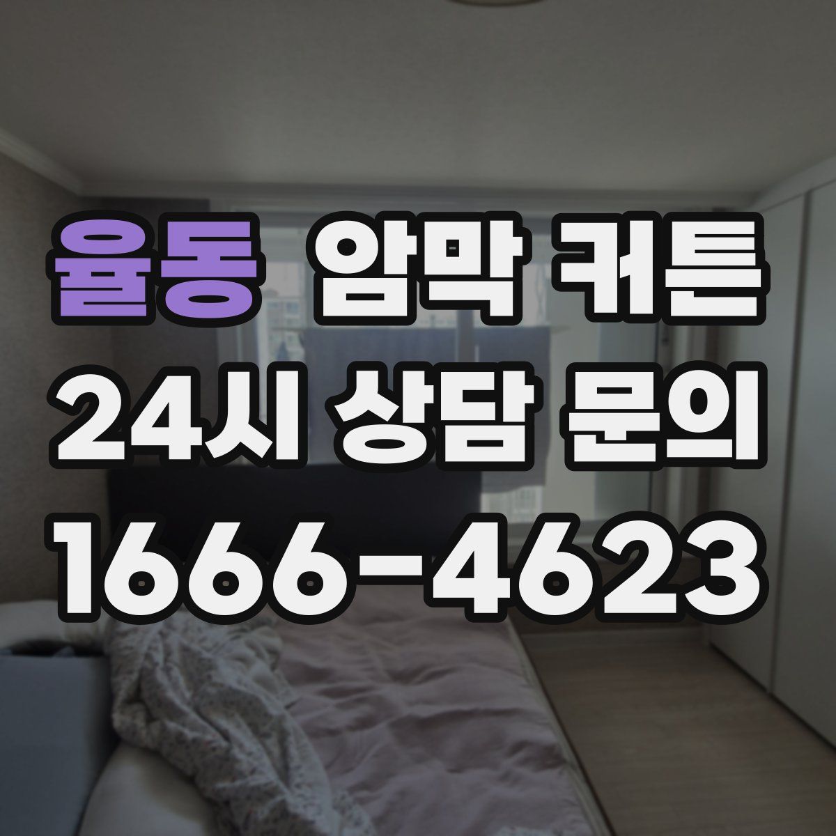 율동 암막 커튼