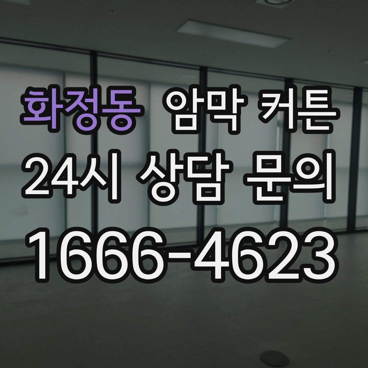 화정동 암막 커튼 고를 때 참고하면 좋은 비교 포인트