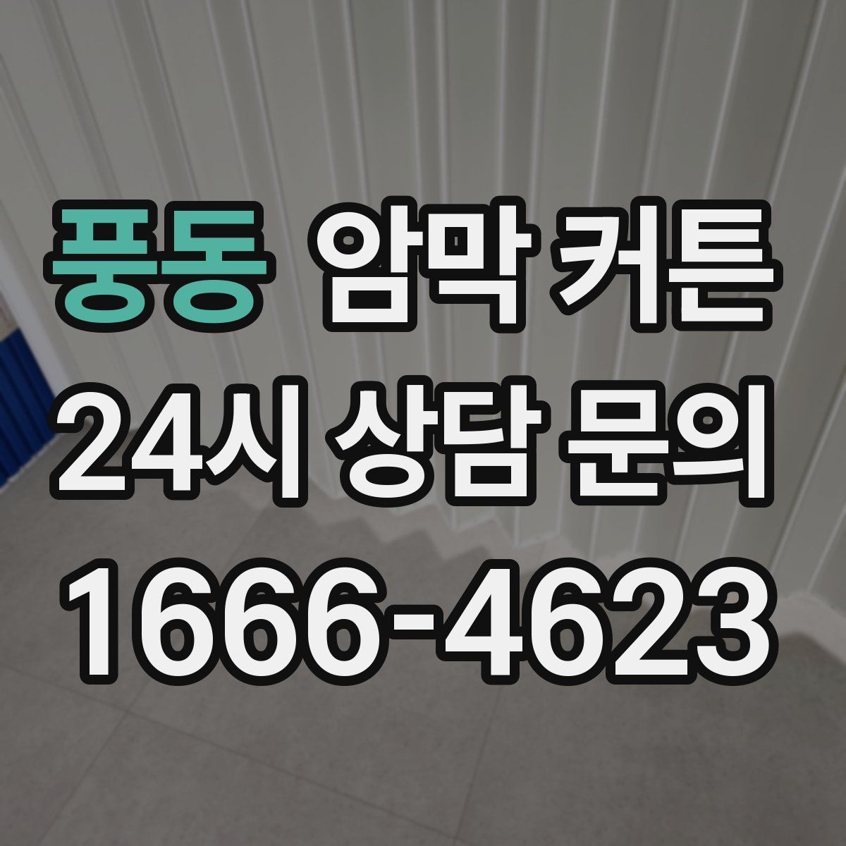 풍동 암막 커튼