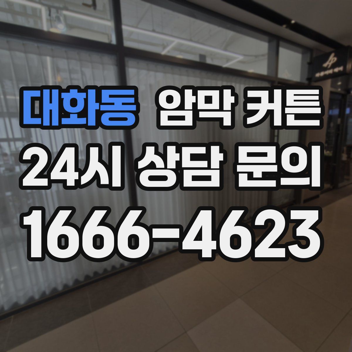 대화동 암막 커튼