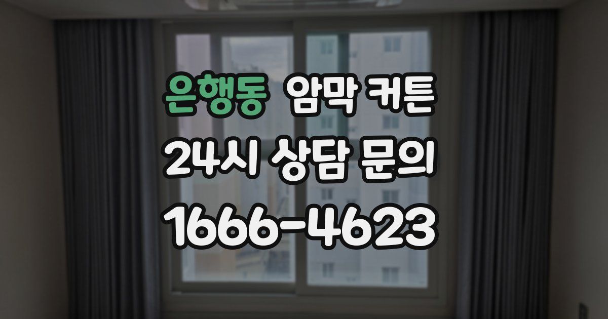 은행동 암막 커튼