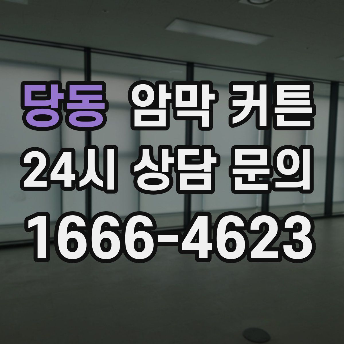 당동 암막 커튼
