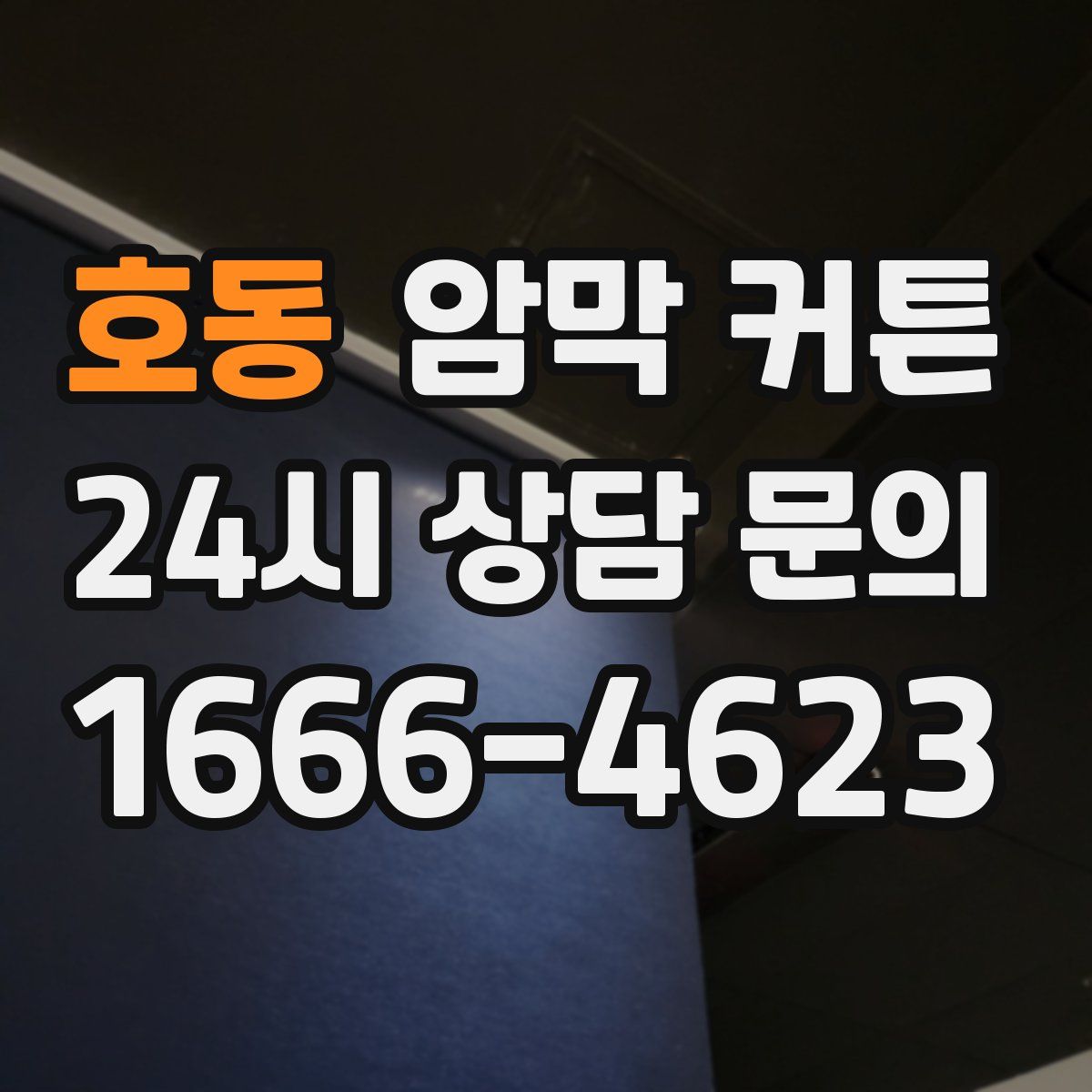 호동 암막 커튼