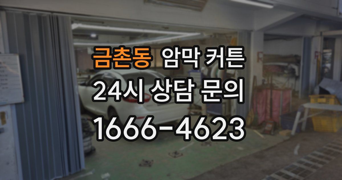 금촌동 암막 커튼