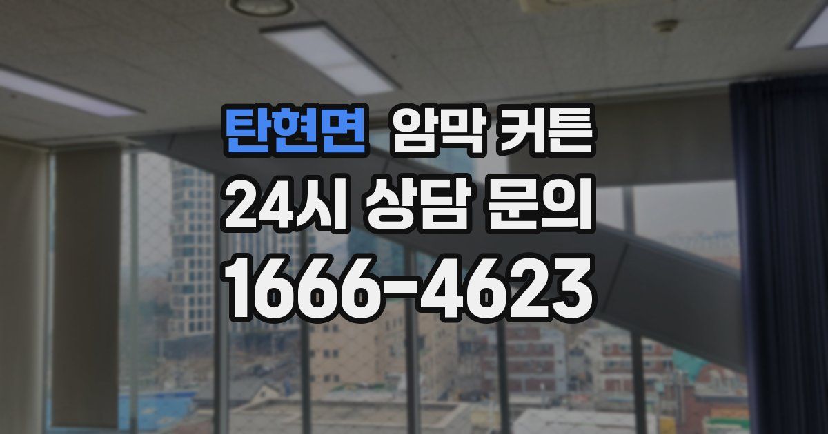 탄현면 암막 커튼