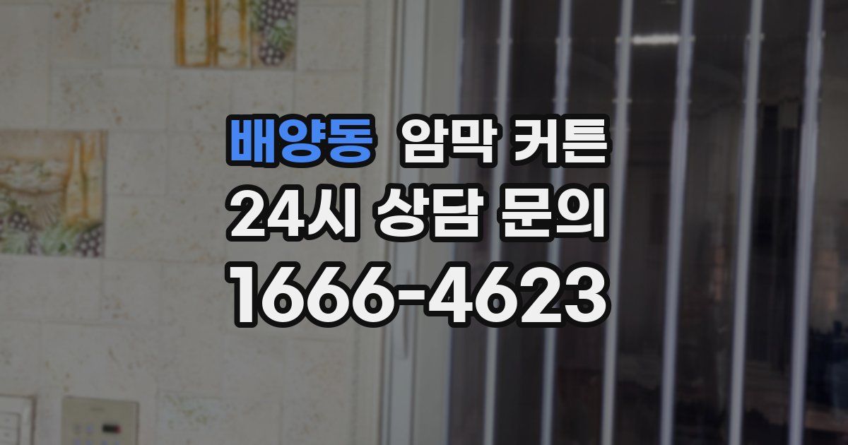 배양동 암막 커튼