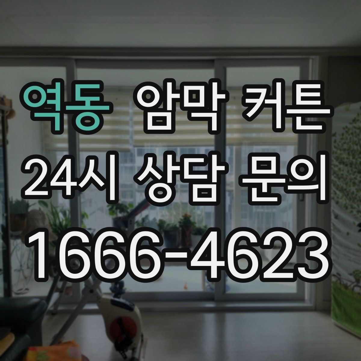 역동 암막 커튼
