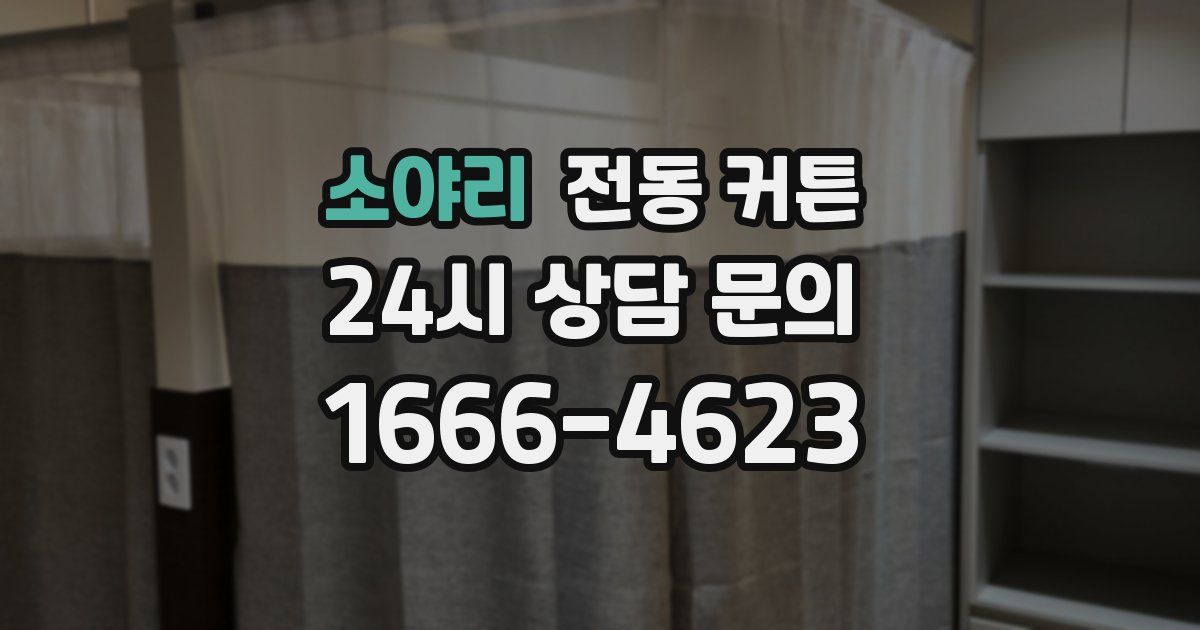 소야리 전동 커튼