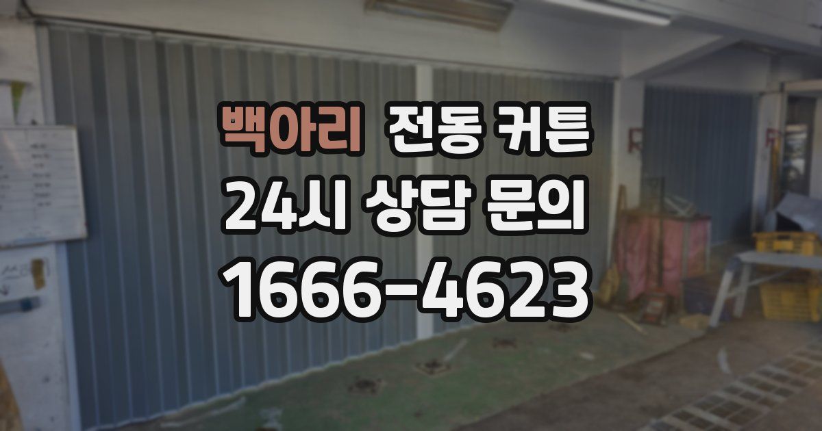 백아리 전동 커튼