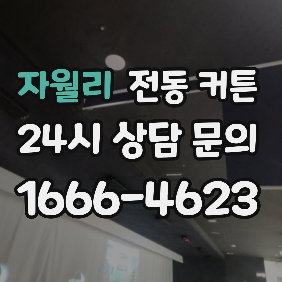 자월리 전동 커튼
