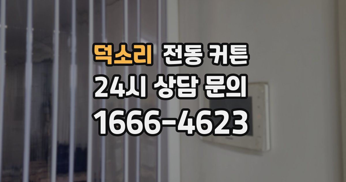 덕소리 전동 커튼