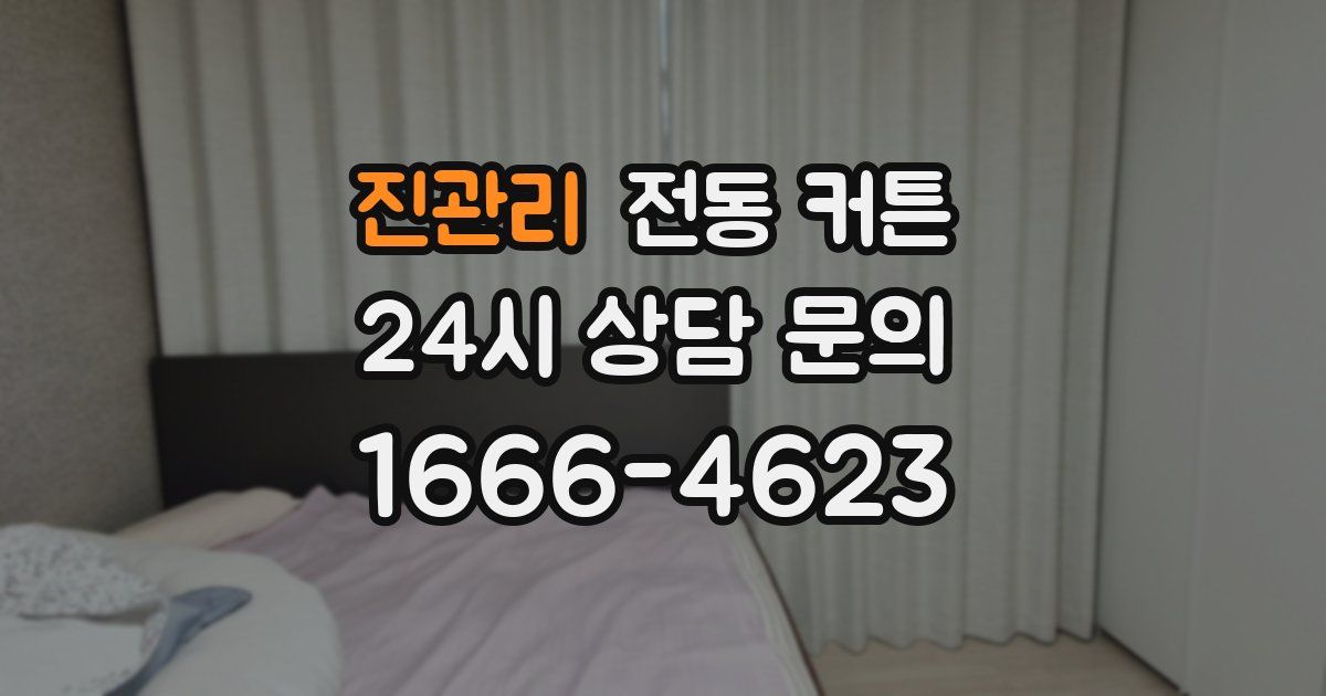 진관리 전동 커튼
