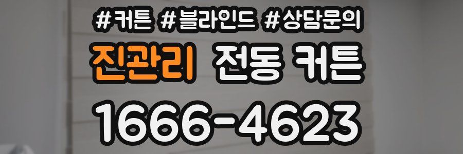 진관리 전동 커튼