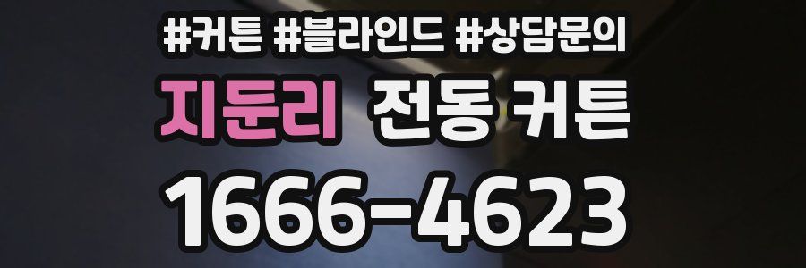 지둔리 전동 커튼