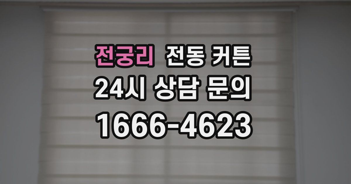 전궁리 전동 커튼