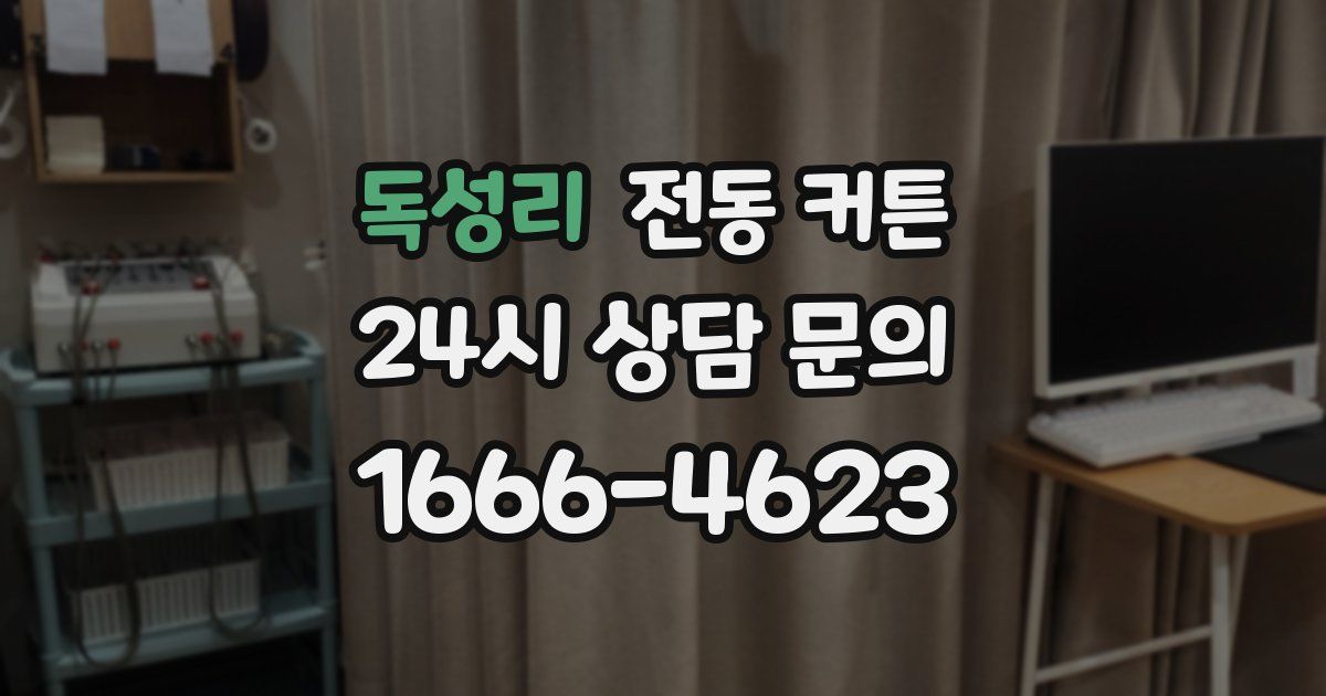 독성리 전동 커튼