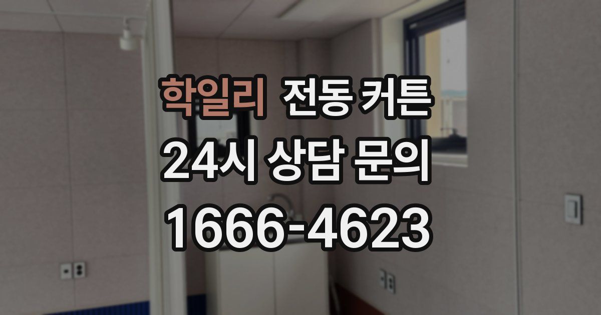 학일리 전동 커튼