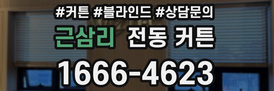 근삼리 전동 커튼