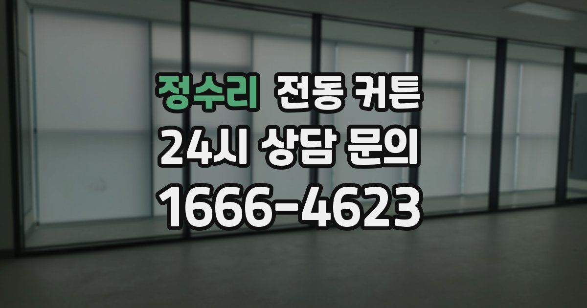 정수리 전동 커튼