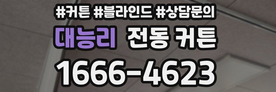 대능리 전동 커튼