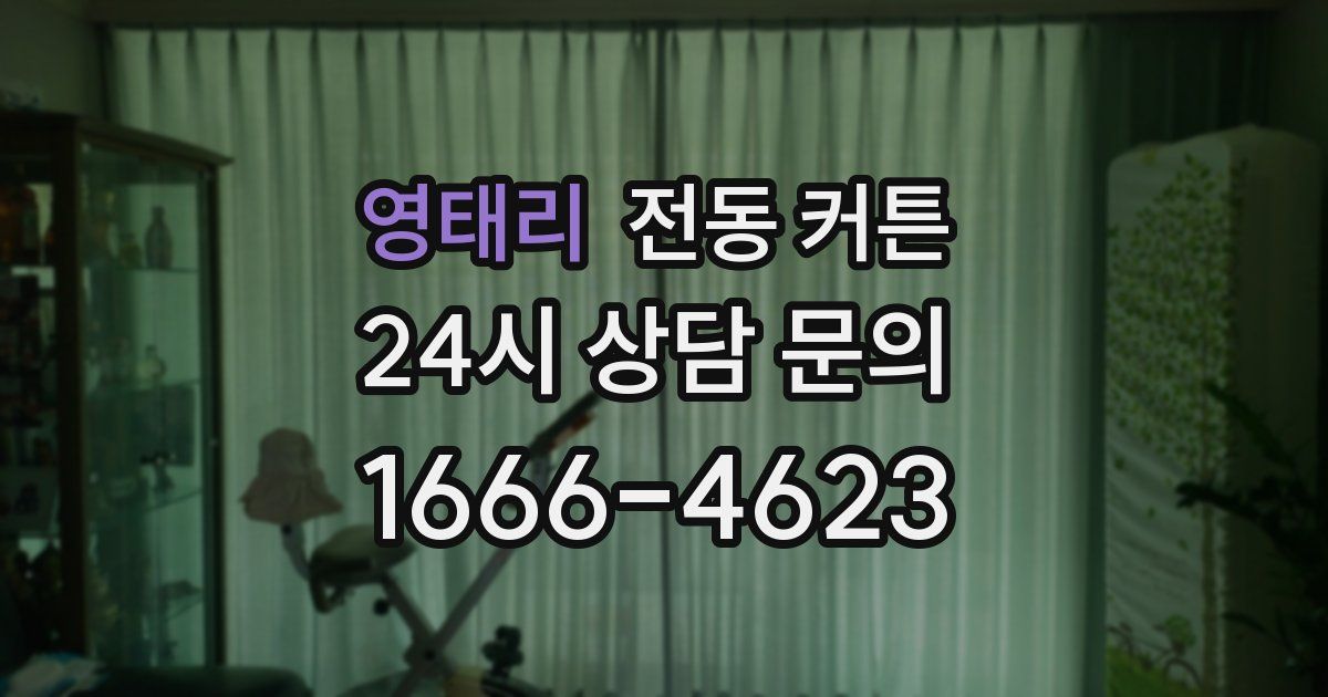 영태리 전동 커튼
