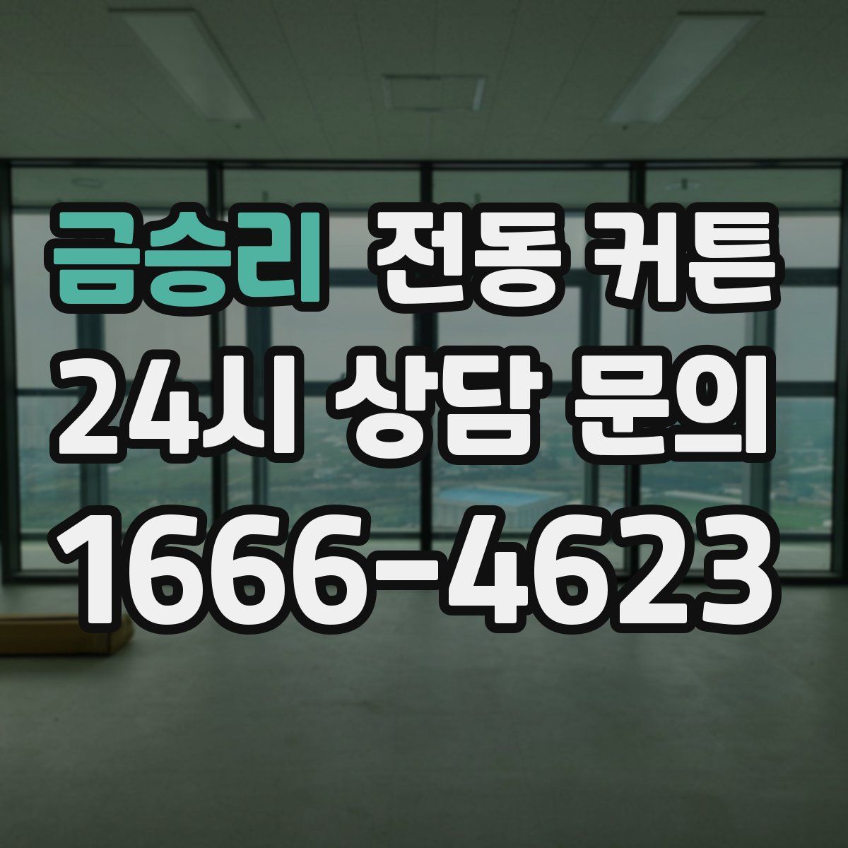 금승리 전동 커튼