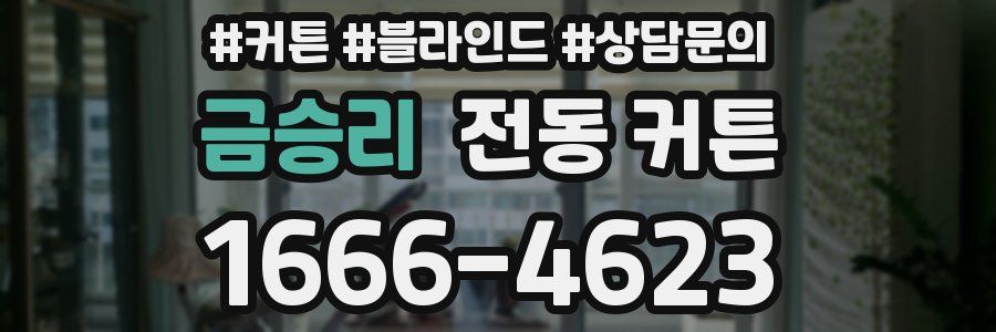 금승리 전동 커튼