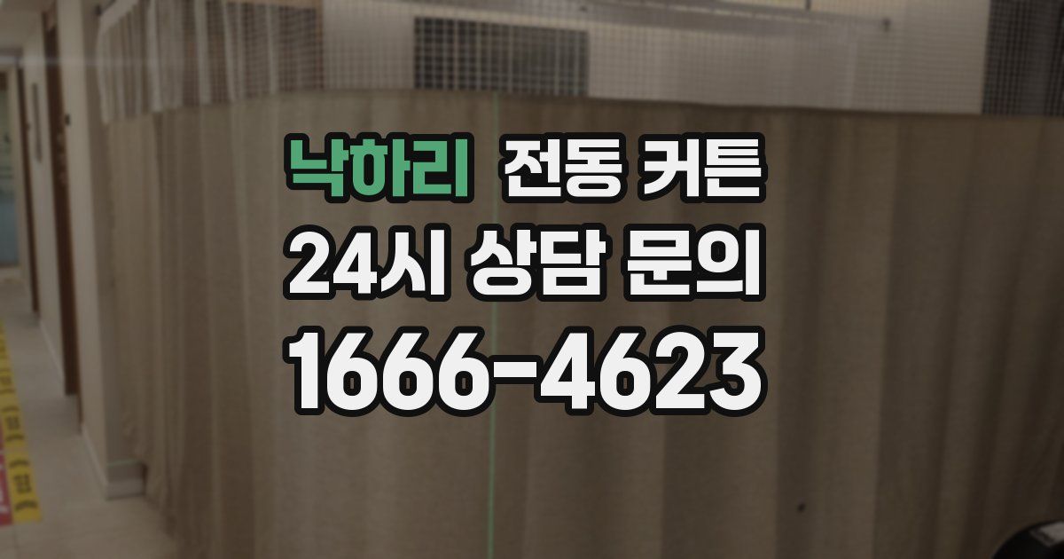 낙하리 전동 커튼