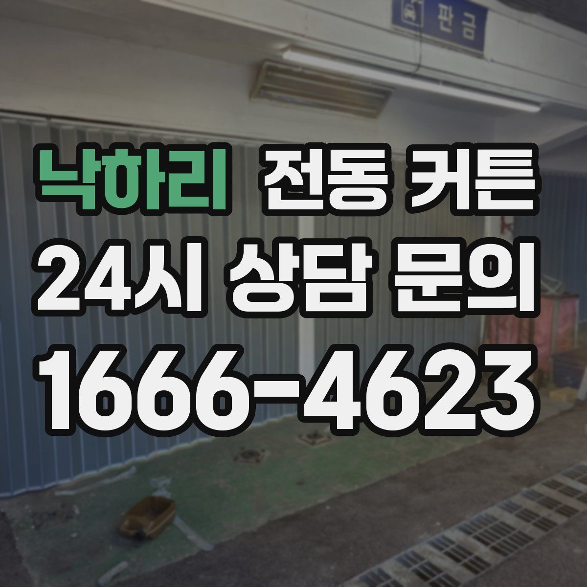 낙하리 전동 커튼