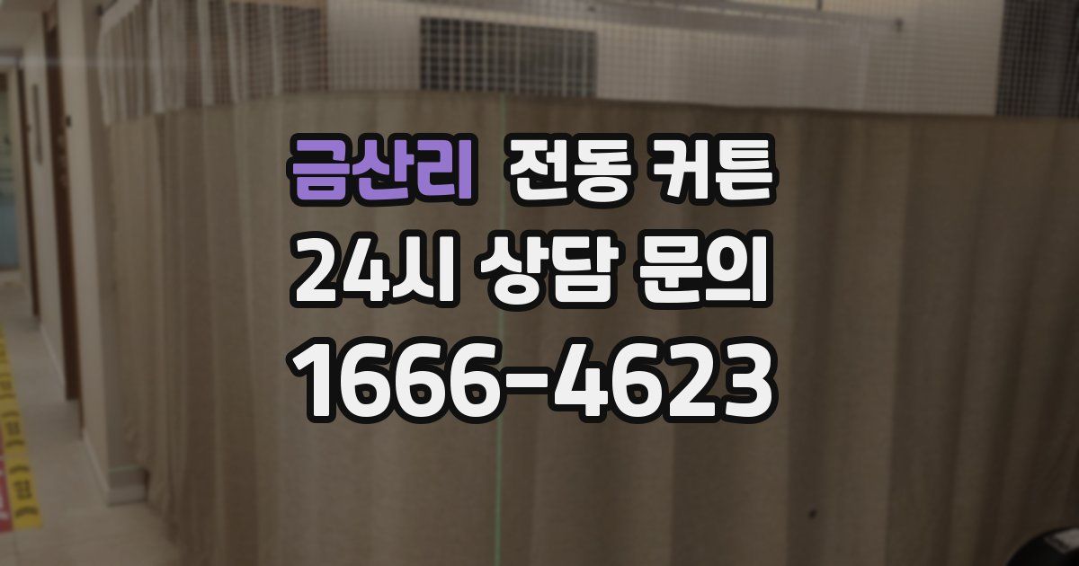 금산리 전동 커튼