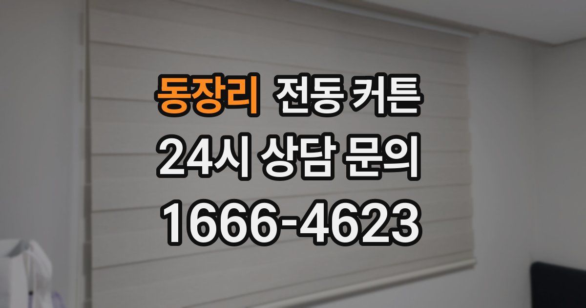 동장리 전동 커튼