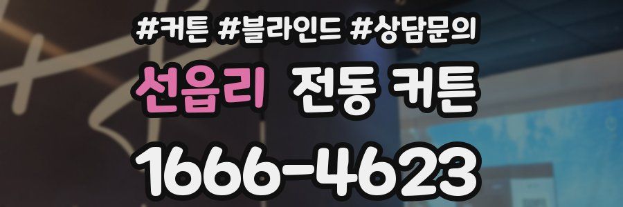 선읍리 전동 커튼