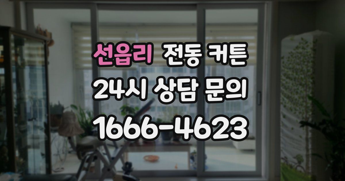 선읍리 전동 커튼