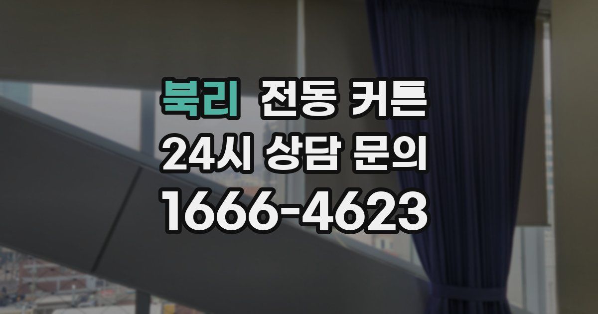 북리 전동 커튼